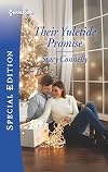 Their Yuletide Promise (Hillcrest House Book 2723)