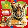 Big Book of Animals (LEGO Nonfiction): A LEGO Adventure in the Real World