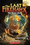 The Secret Maze: A Branches Book (The Last Firehawk #10) (10)