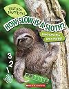 How Slow is a Sloth? (Nature Numbers): Measure the Rainforest
