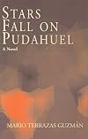 Stars Fall on Pudahuel