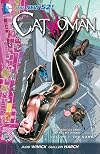 Catwoman Volume 1: The Game
