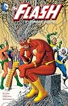 The Flash by Geoff Johns Book Two