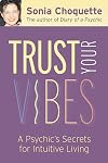 Trust Your Vibes: Secret Tools for Six-Sensory Living