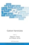 Carbon Nanotubes: From Basic Research to Nanotechnology (NATO Science Series II: Mathematics, Physics and Chemistry)