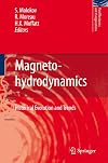 Magnetohydrodynamics: Historical Evolution and Trends (Fluid Mechanics and Its Applications)