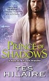 Prince of Shadows (Paladin Warriors)