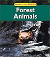 Forest Animals