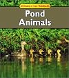 Pond Animals