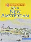 Life in New Amsterdam