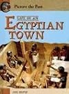Life in an Egyptian Town (Picture the Past)