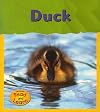 Duck (Read and Learn: Life Cycles)