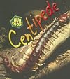 Centipedes (Heinemann First Library: Bug Books)