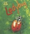 Ladybird (Heinemann First Library: Bug Books)