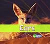 Ears (Acorn: Spot the Difference)