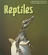 Reptiles (Animal Babies)