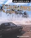Tsumanis (Natural Disasters)