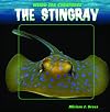 The Stingray (Weird Sea Creatures)