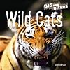 Wild Cats (Big Bad Biters)