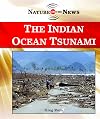 The Indian Ocean Tsunami