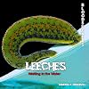 Leeches: Waiting in the Water (Bloodsuckers)