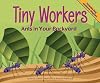 Tiny Workers: Ants in Your Backyard