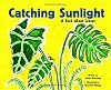 Catching Sunlight: A Book About Leaves