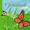 Grasslands: Fields of Green and Gold (Amazing Science: Ecosystems)