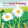 From Seed to Daisy: Following the Life Cycle (Amazing Science: Life Cycles)