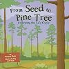 From Seed to Pine Tree: Following the Life Cycle (Amazing Science: Life Cycles)
