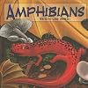Amphibians: Water-to-Land Animals