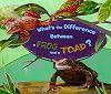 What's the Difference Between a Frog and a Toad?