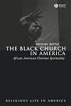 The Black Church in America: African American Christian Spirituality (Religious Life in America)