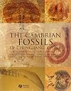 The Cambrian Fossils of Chengjiang, China: The Flowering of Early Animal Life