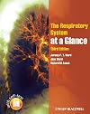 The Respiratory System at a Glance