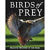 Birds of Prey