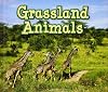 Grassland Animals (Acorn: Animals in Their Habitats)