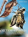 Metamorphosis: Astonishing insect transformations