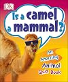Is a Camel a Mammal?