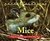 Nature Close-Up - Mice