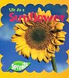 Life As a Sunflower