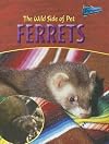 Ferrets (Raintree Perspectives: The Wild Side of Pets)