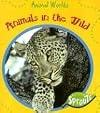 Animals In The Wild (Animal Worlds)