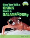 Can You Tell a Skink from a Salamander? : Classification