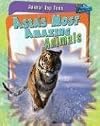 Asia's Most Amazing Animals (Raintree Perspectives: Animal Top Tens)