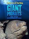 Giant Morays and Other Extraordinary Eels (Creatures of the Deep)