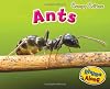 Ants (Creepy Critters)