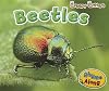 Beetles (Creepy Critters)