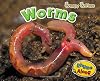 Worms (Rhyme Along: Creepy Critters)