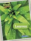 Leaves (Raintree Perspectives: Plant Parts)